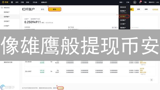 像雄鹰般提现币安：解密加密货币提现的省钱秘籍【场景化分析】