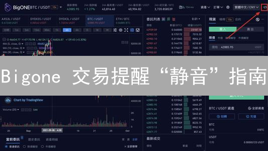 Bigone 交易提醒“静音”指南：摆脱干扰，提升交易效率！